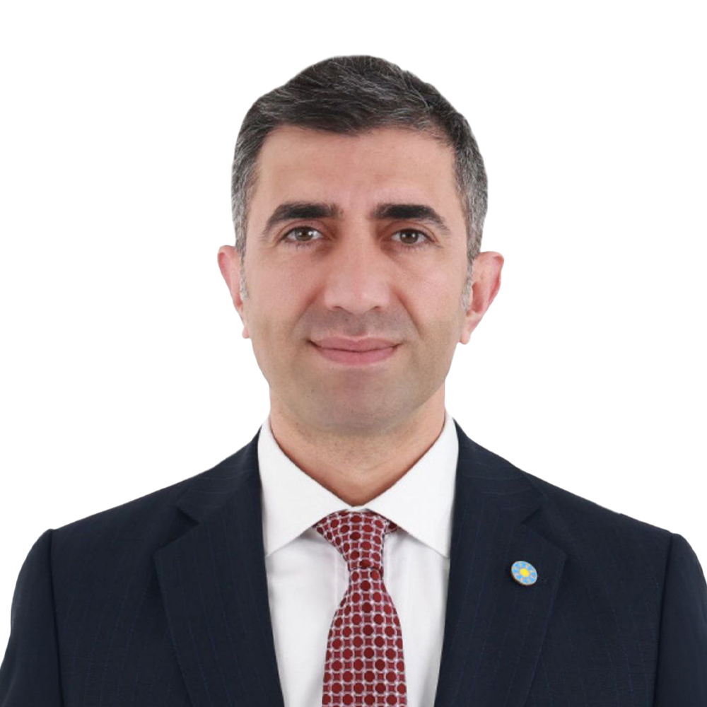 Hamdi Taner Özeler